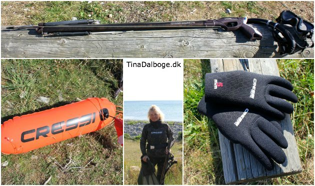 Harpun, bøje, hansker, maske, snorkel - udstyr til UV-jagt fra Søsport Import - billeder på Tina Dalbøges blog