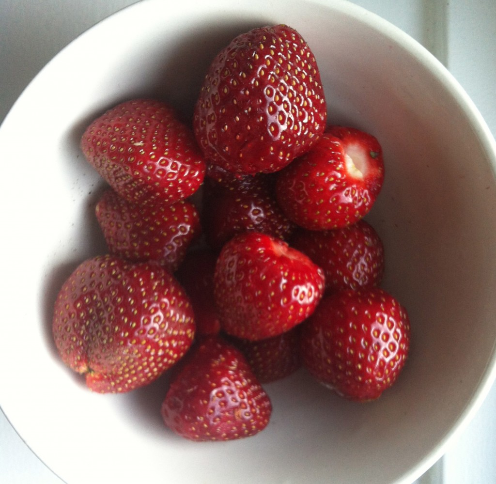 Så er sorten på plads – smag det sødeste mest smagfulde jordbær lige her: