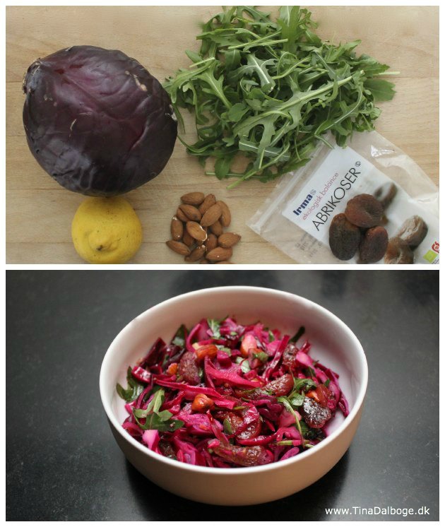 salat med rødkål og rucula