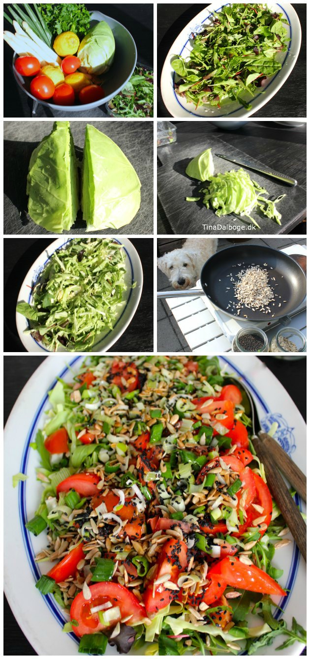 Salat med babyblade, spidskål og tomater