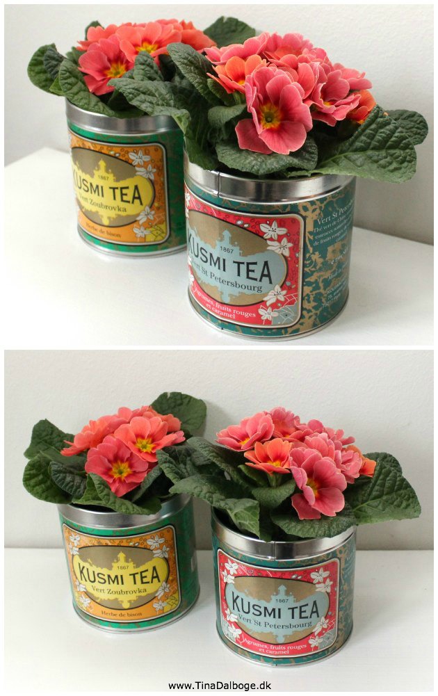 Dejlige farver – forår – og en god kop te…