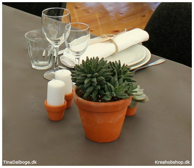 ide til fest bordpynt med planter og sukkulenter i terracottapotter
