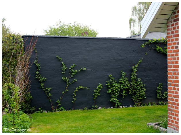 mur udenfor i haven malet sort med murmaling tinadalboge