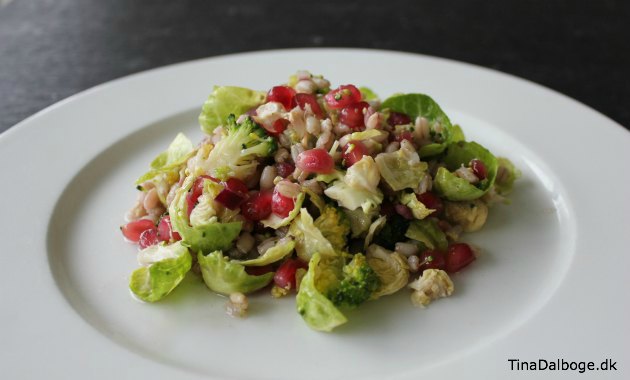 Endnu en lækker farverig salat med gode sunde sager…
