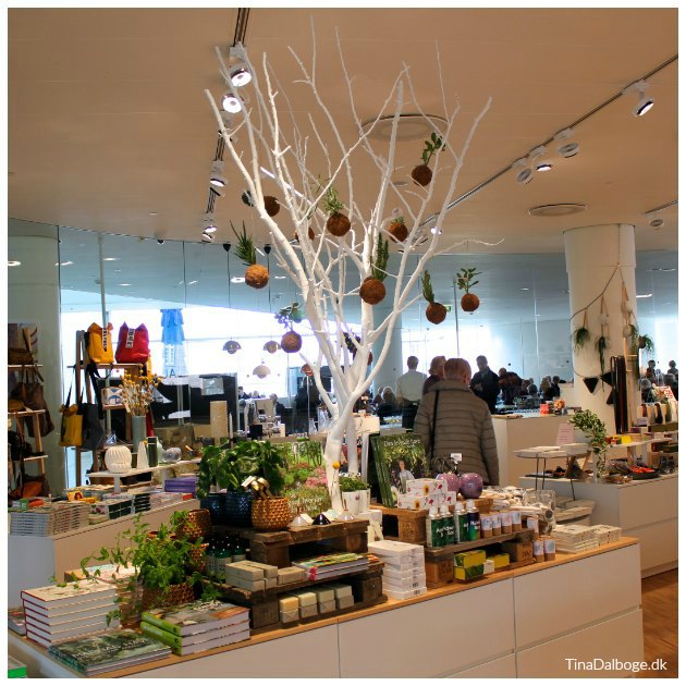 træ brugt til dekoration og staffage i butik tinadalboge